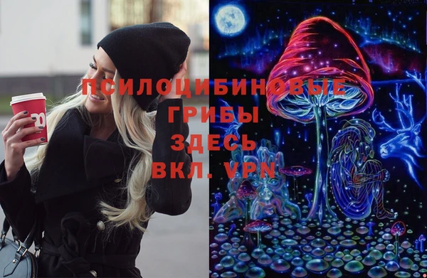 mdpv Горняк