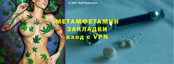 прущие грибы Горнозаводск