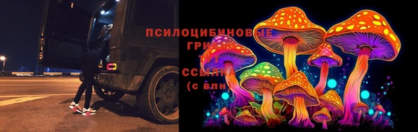 дживик Горно-Алтайск