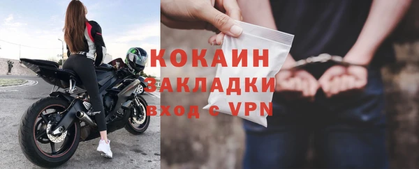 прущие грибы Горнозаводск