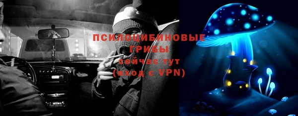 mdpv Горняк