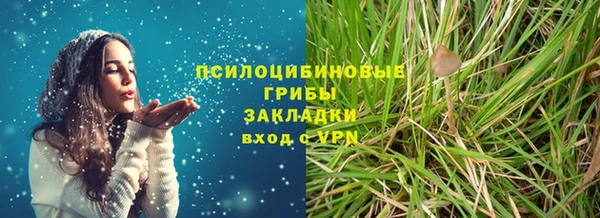 прущие грибы Горнозаводск