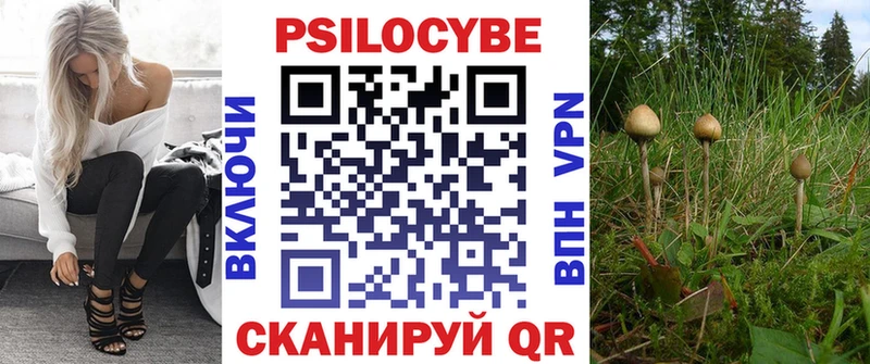 Псилоцибиновые грибы Cubensis  наркошоп  Черкесск 